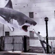 Illustration for article titled Syfy announces iSharknado/i Week as a challenge to Shark Week